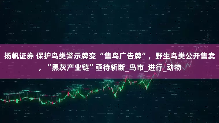扬帆证券 保护鸟类警示牌变 “售鸟广告牌”，野生鸟类公开售卖，“黑灰产业链”亟待斩断_鸟市_进行_动物