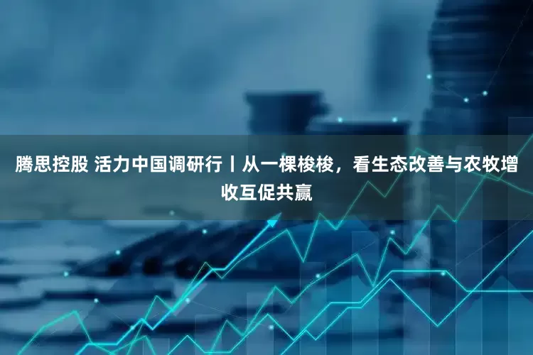 腾思控股 活力中国调研行丨从一棵梭梭，看生态改善与农牧增收互促共赢