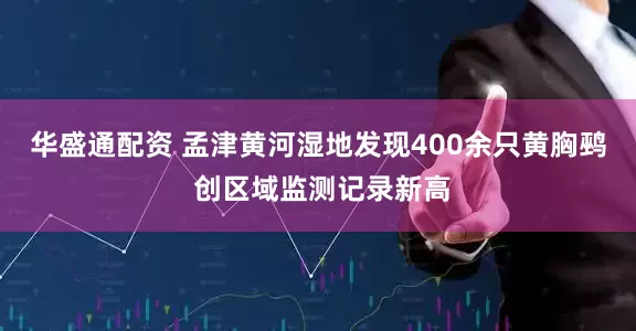 华盛通配资 孟津黄河湿地发现400余只黄胸鹀 创区域监测记录新高