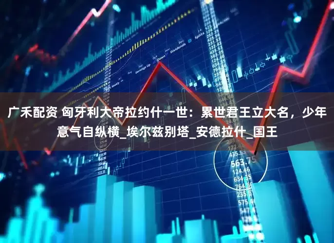 广禾配资 匈牙利大帝拉约什一世:累世君王立大名,少年意气自纵横_埃尔兹别塔_安德拉什_国王