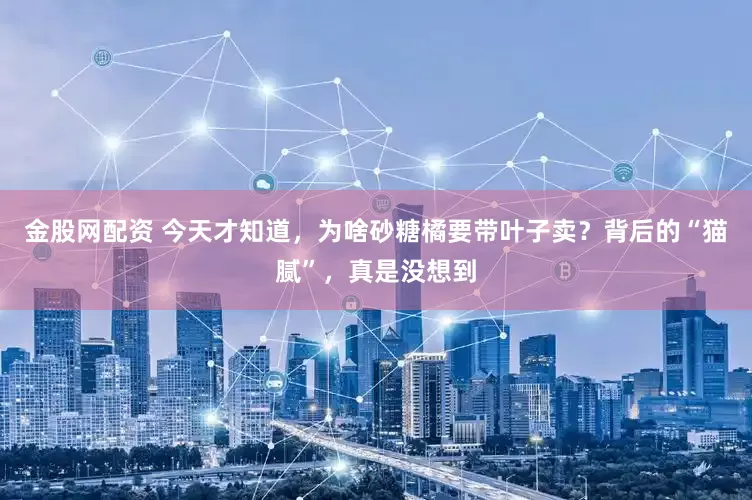 金股网配资 今天才知道，为啥砂糖橘要带叶子卖？背后的“猫腻”，真是没想到