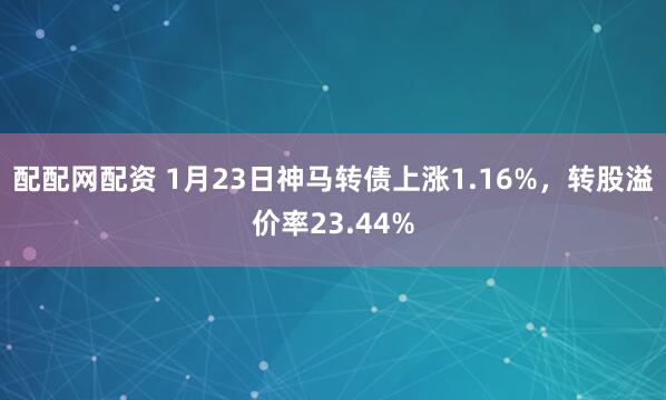 配配网配资 1月23日神马转债上涨1.16%，转股溢价率23.44%